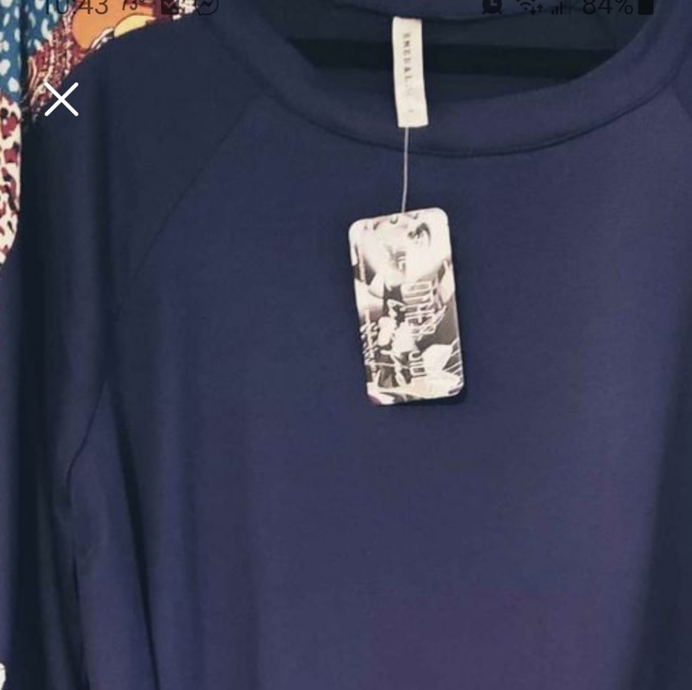 NWT Balloon Sleeve Top